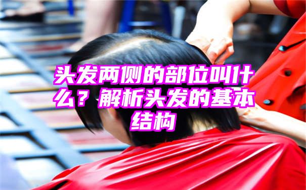 头发两侧的部位叫什么？解析头发的基本结构