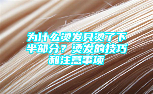 为什么烫发只烫了下半部分？烫发的技巧和注意事项