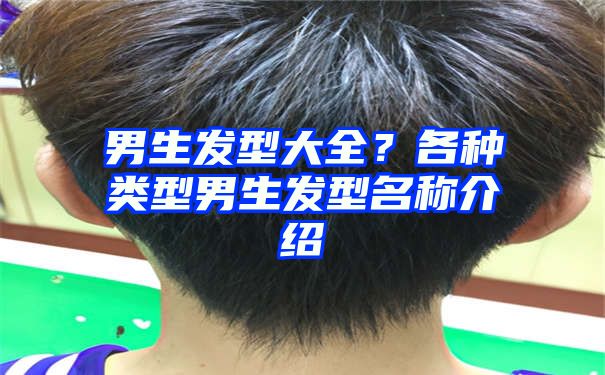 男生发型大全？各种类型男生发型名称介绍