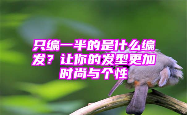 只编一半的是什么编发？让你的发型更加时尚与个性