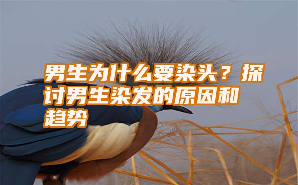 男生为什么要染头？探讨男生染发的原因和趋势