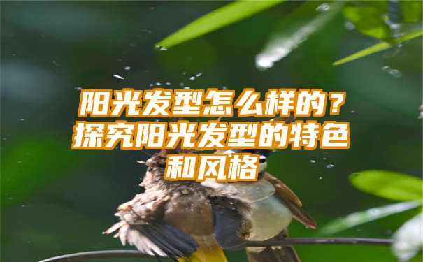 阳光发型怎么样的？探究阳光发型的特色和风格