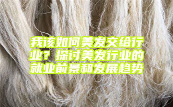 我该如何美发交给行业？探讨美发行业的就业前景和发展趋势