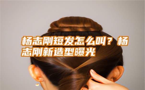 杨志刚短发怎么叫？杨志刚新造型曝光