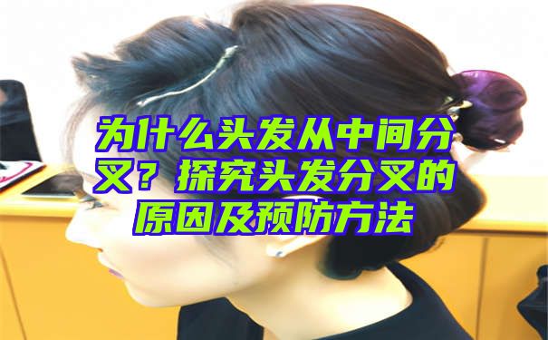 为什么头发从中间分叉？探究头发分叉的原因及预防方法