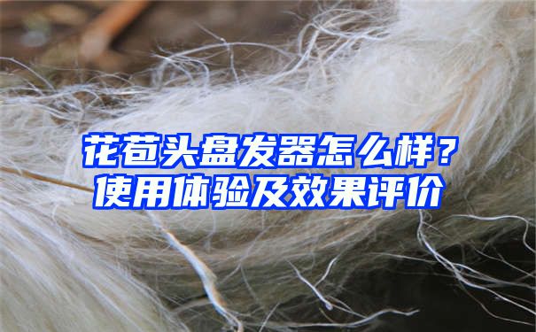 花苞头盘发器怎么样？使用体验及效果评价