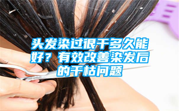 头发染过很干多久能好？有效改善染发后的干枯问题