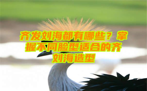 齐发刘海都有哪些？掌握不同脸型适合的齐刘海造型