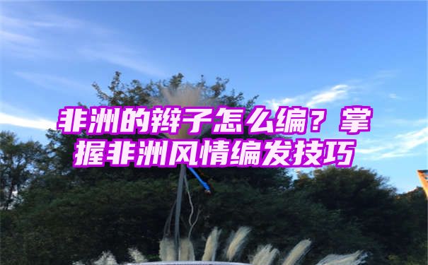 非洲的辫子怎么编？掌握非洲风情编发技巧