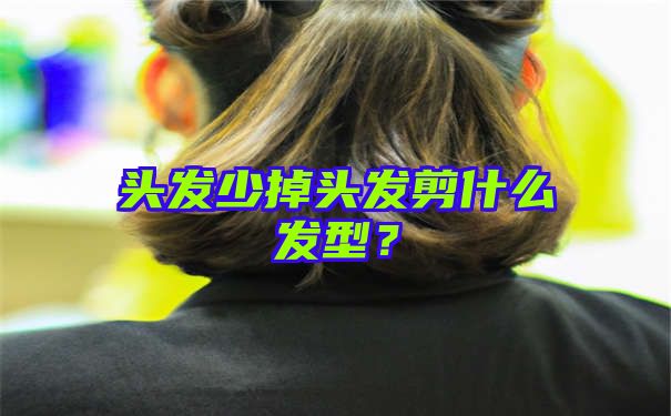 头发少掉头发剪什么发型？