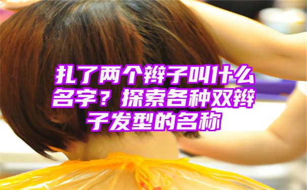 扎了两个辫子叫什么名字？探索各种双辫子发型的名称