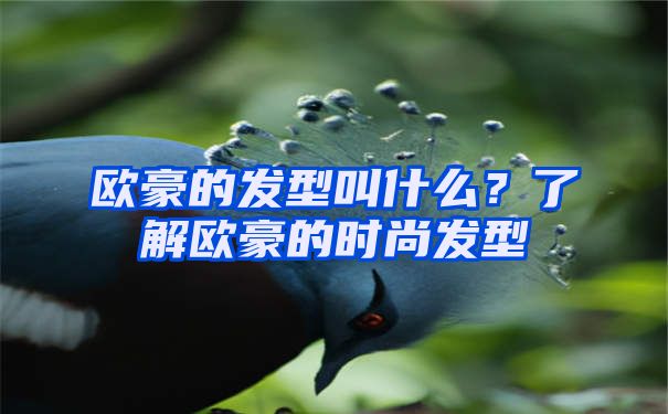 欧豪的发型叫什么？了解欧豪的时尚发型