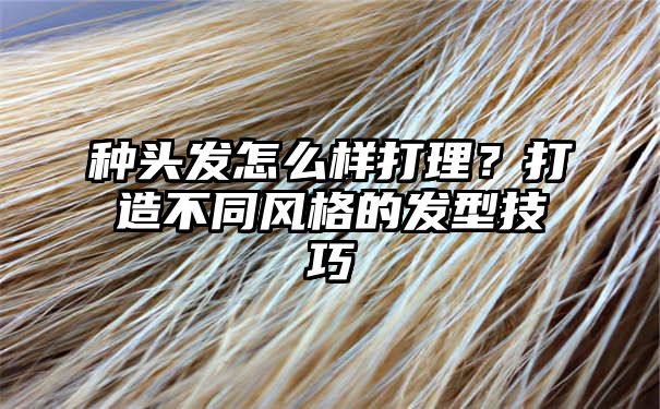 种头发怎么样打理？打造不同风格的发型技巧