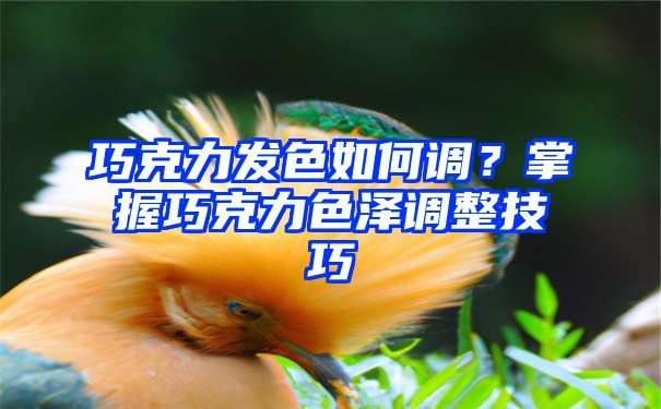 巧克力发色如何调？掌握巧克力色泽调整技巧