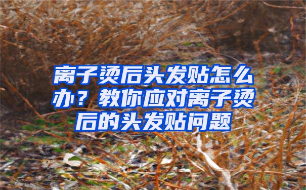 离子烫后头发贴怎么办？教你应对离子烫后的头发贴问题