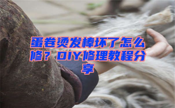 蛋卷烫发棒坏了怎么修？DIY修理教程分享