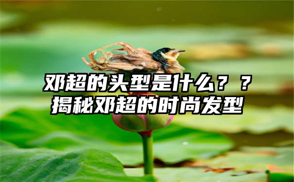 邓超的头型是什么？？揭秘邓超的时尚发型