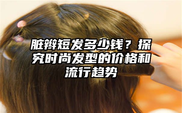 脏辫短发多少钱？探究时尚发型的价格和流行趋势