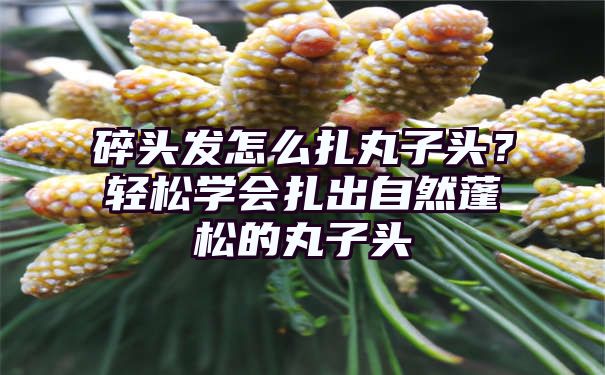 碎头发怎么扎丸子头？轻松学会扎出自然蓬松的丸子头