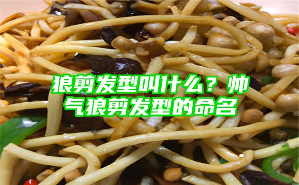 狼剪发型叫什么？帅气狼剪发型的命名