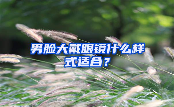 男脸大戴眼镜什么样式适合？