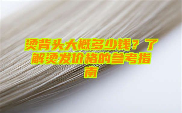 烫背头大概多少钱？了解烫发价格的参考指南