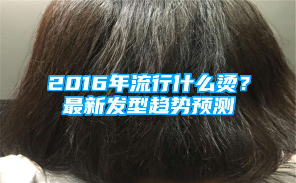 2016年流行什么烫？最新发型趋势预测