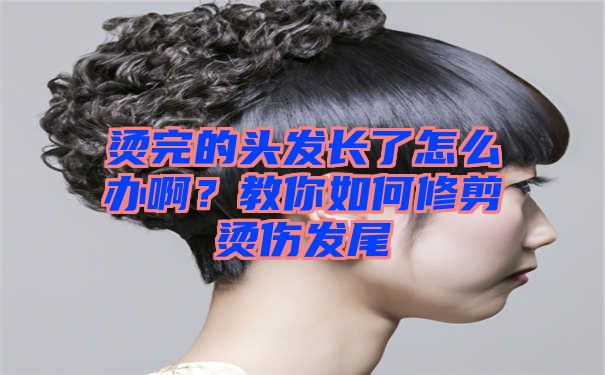 烫完的头发长了怎么办啊？教你如何修剪烫伤发尾