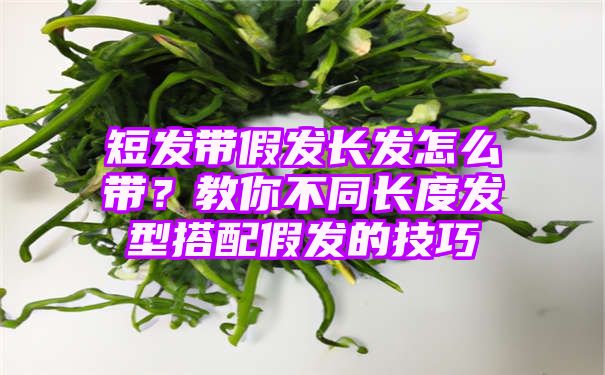 短发带假发长发怎么带？教你不同长度发型搭配假发的技巧