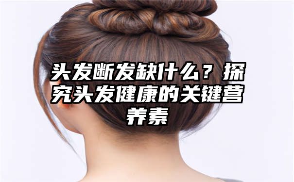 头发断发缺什么？探究头发健康的关键营养素