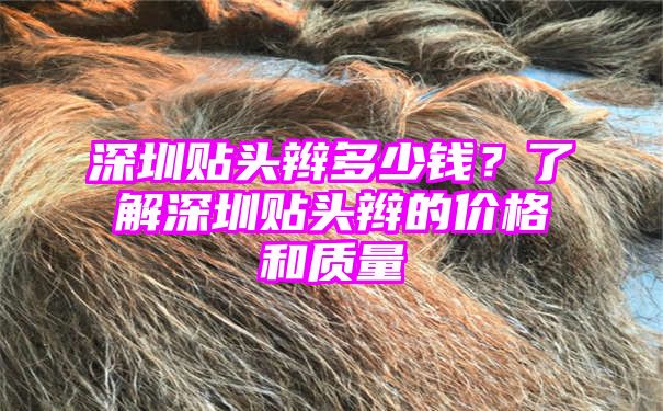 深圳贴头辫多少钱？了解深圳贴头辫的价格和质量