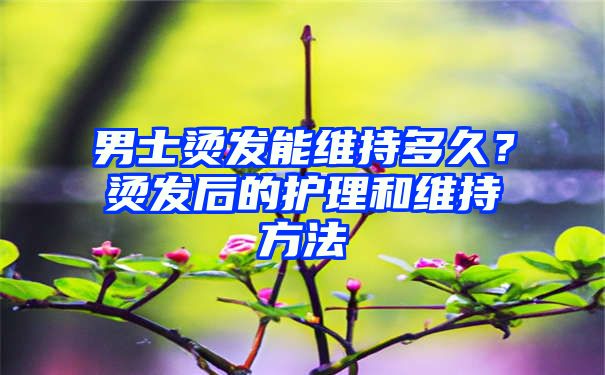 男士烫发能维持多久？烫发后的护理和维持方法