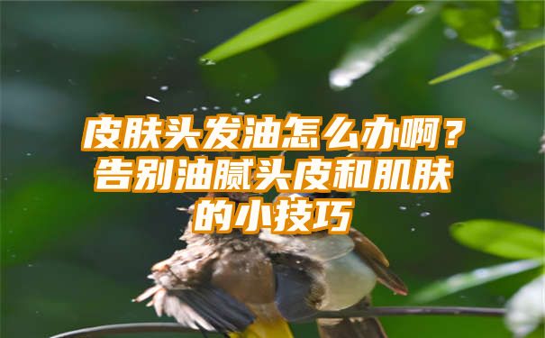 皮肤头发油怎么办啊？告别油腻头皮和肌肤的小技巧