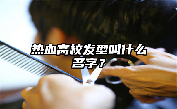 热血高校发型叫什么名字？