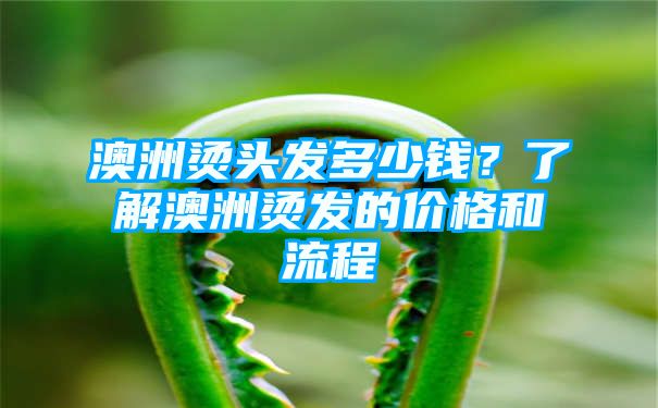 澳洲烫头发多少钱？了解澳洲烫发的价格和流程