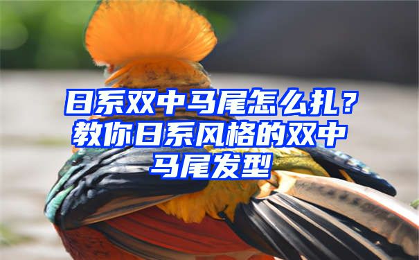 日系双中马尾怎么扎？教你日系风格的双中马尾发型