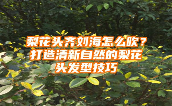 梨花头齐刘海怎么吹？打造清新自然的梨花头发型技巧