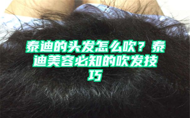 泰迪的头发怎么吹？泰迪美容必知的吹发技巧