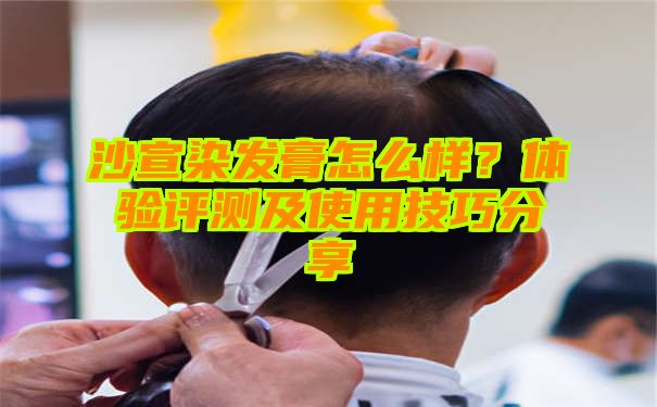 沙宣染发膏怎么样？体验评测及使用技巧分享