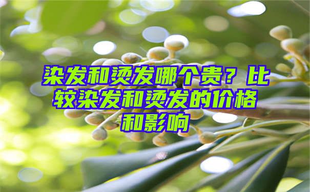 染发和烫发哪个贵？比较染发和烫发的价格和影响