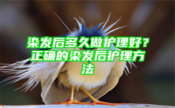 染发后多久做护理好？正确的染发后护理方法